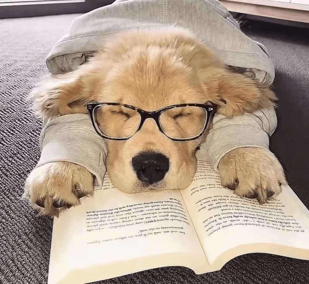 等天晴-校园频道