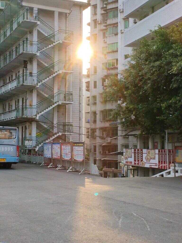 做自己的太阳-暑假时光论坛-校园-校园频道