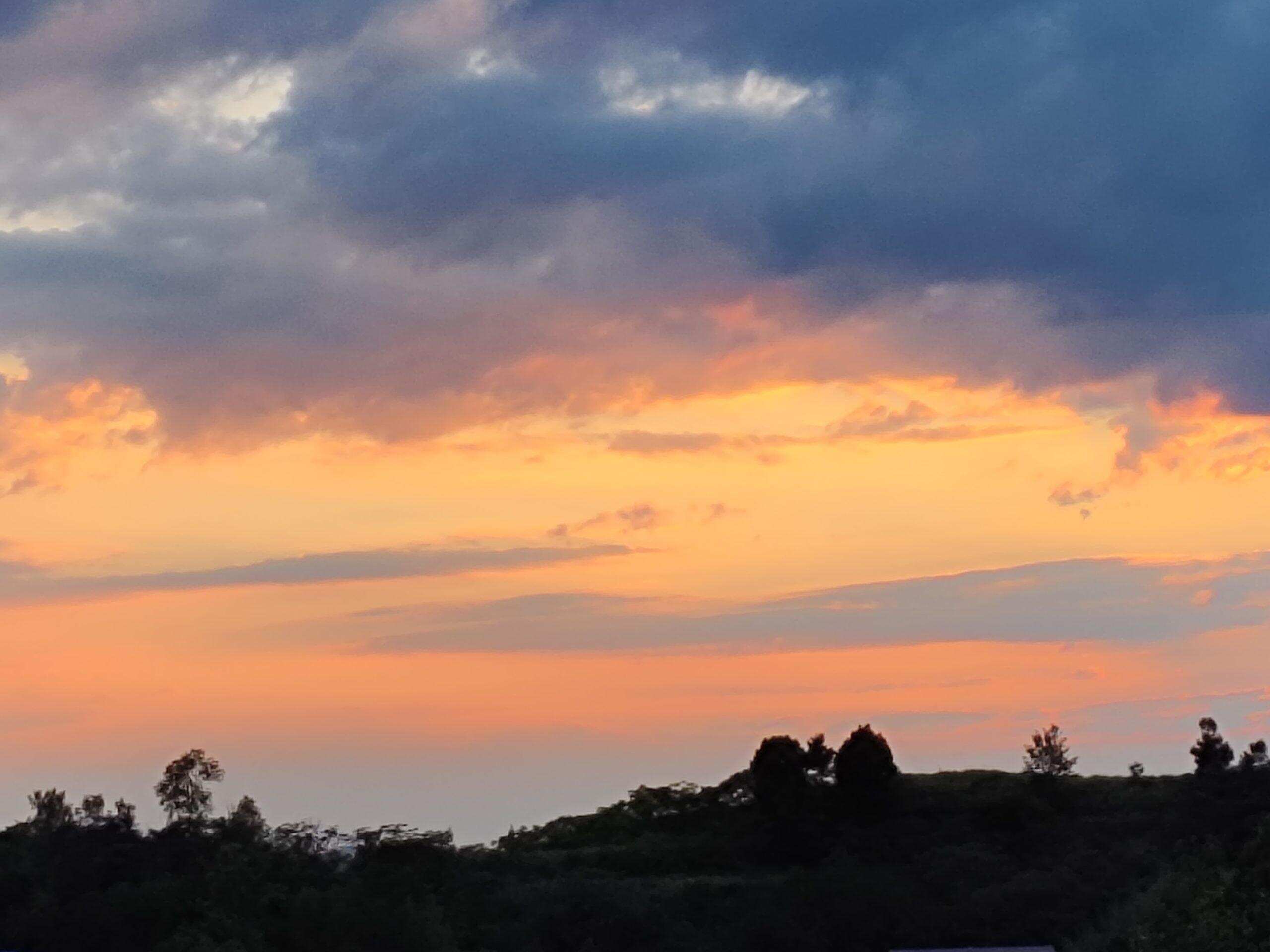 我言夏日胜春朝-校园频道