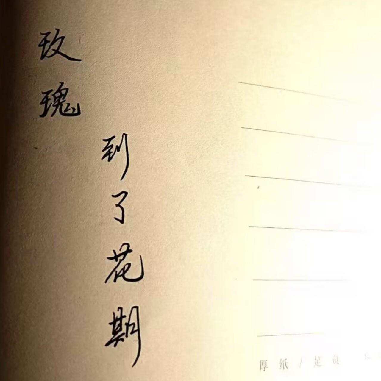 钢笔字-校园频道