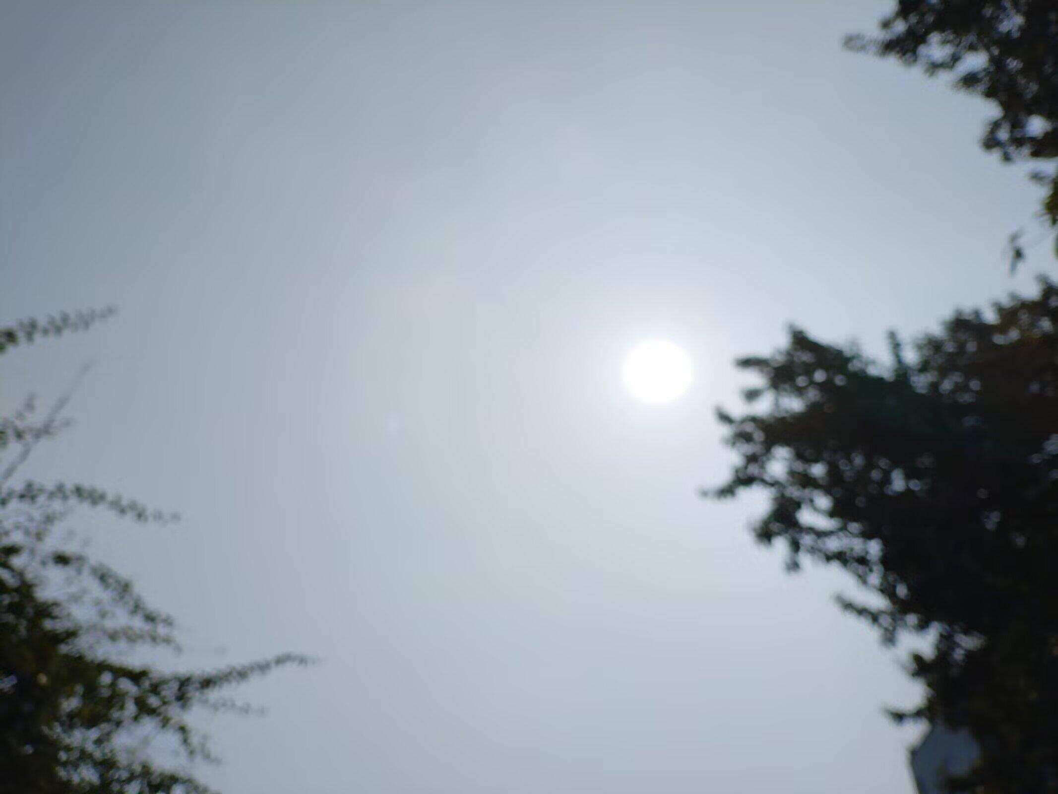 抬头望明月，…-校园频道