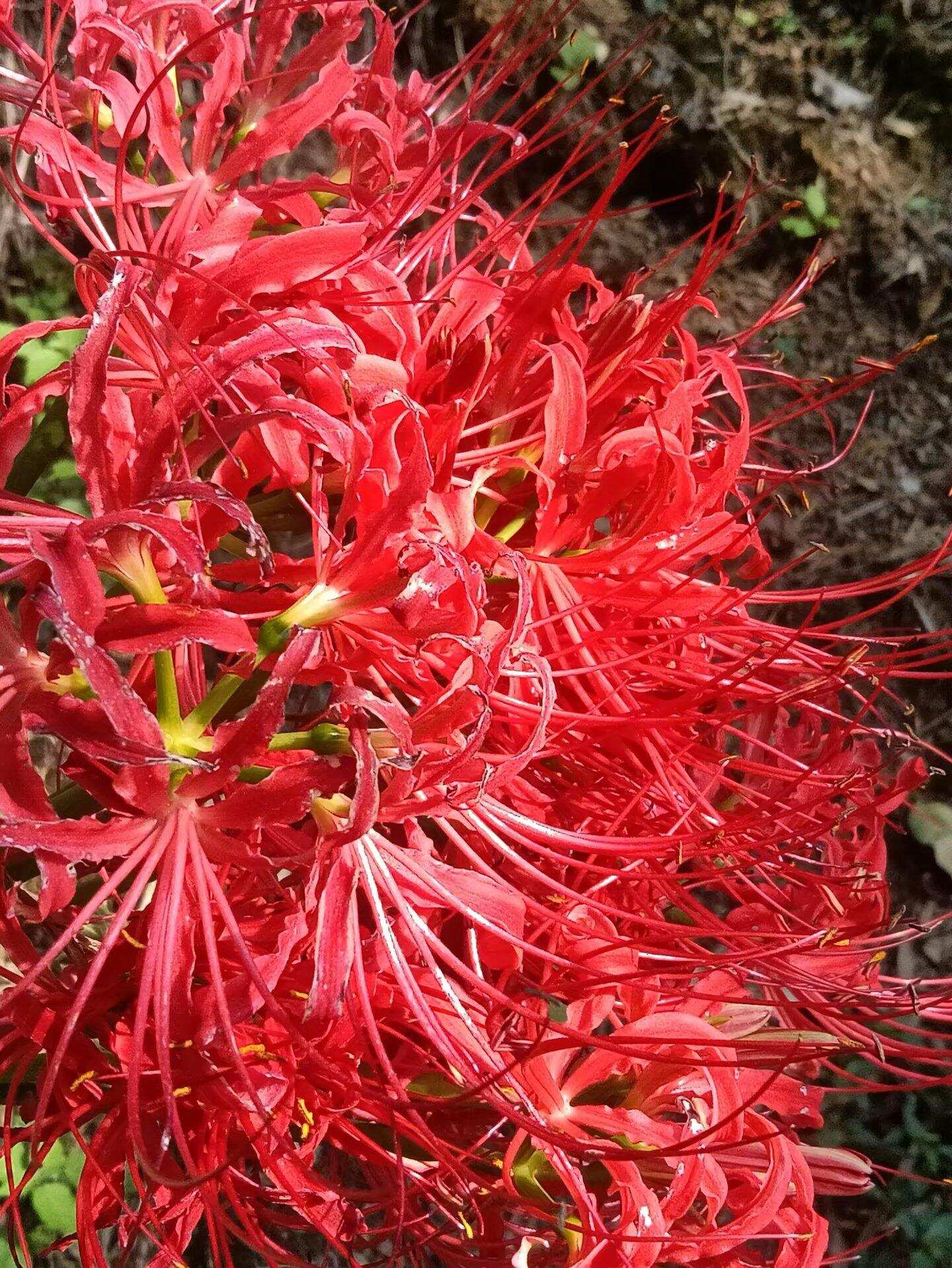 相册里面的旧照-校园频道