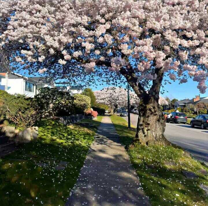 发帖-暑假时光论坛-校园-校园频道