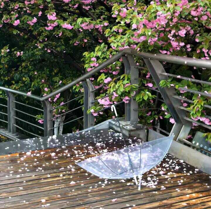 20250726193115692-image_download_1741650187280