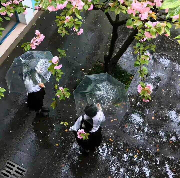发帖-暑假时光论坛-校园-校园频道