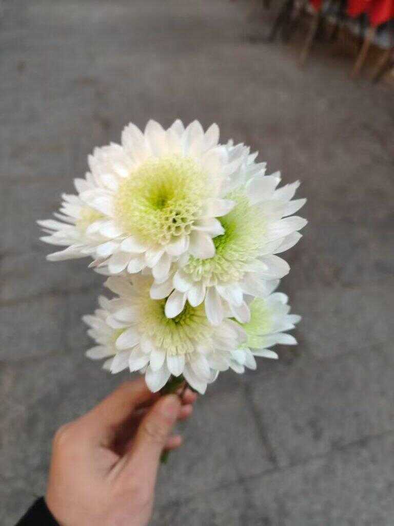 😐😐😐-文案姐论坛-娱乐-校园频道