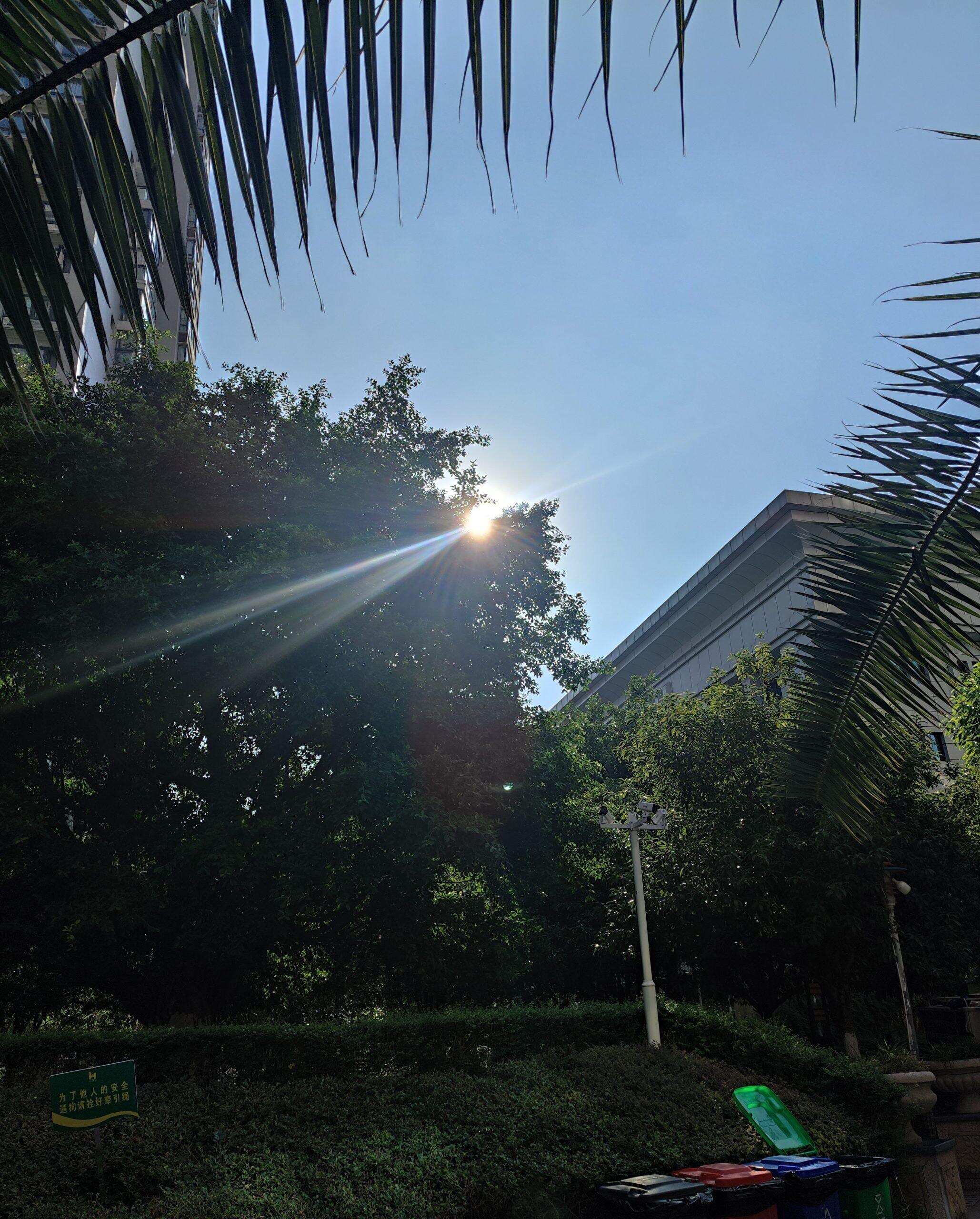 太阳🌞-校园频道