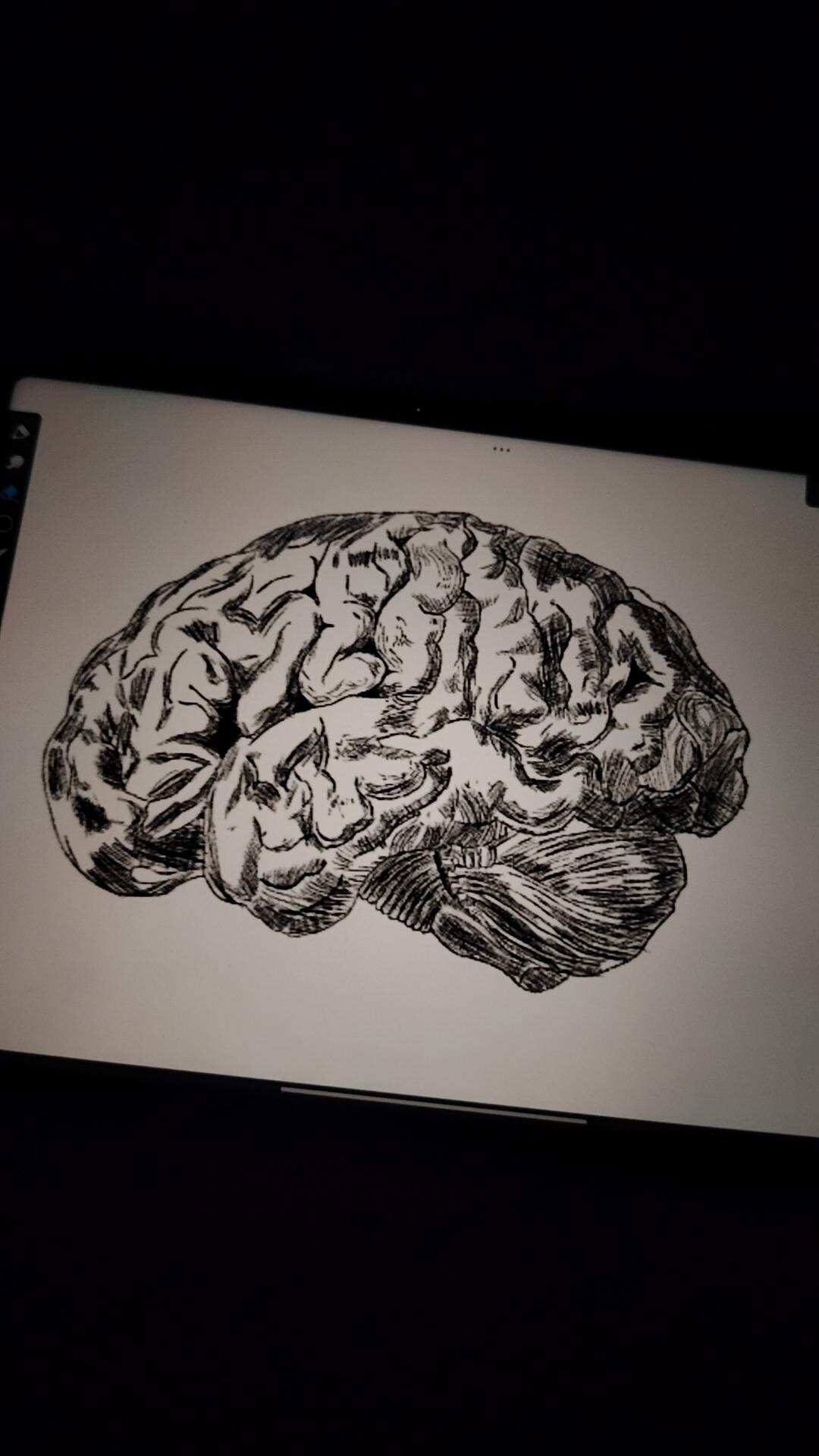 画完了！请夸🌹-校园频道