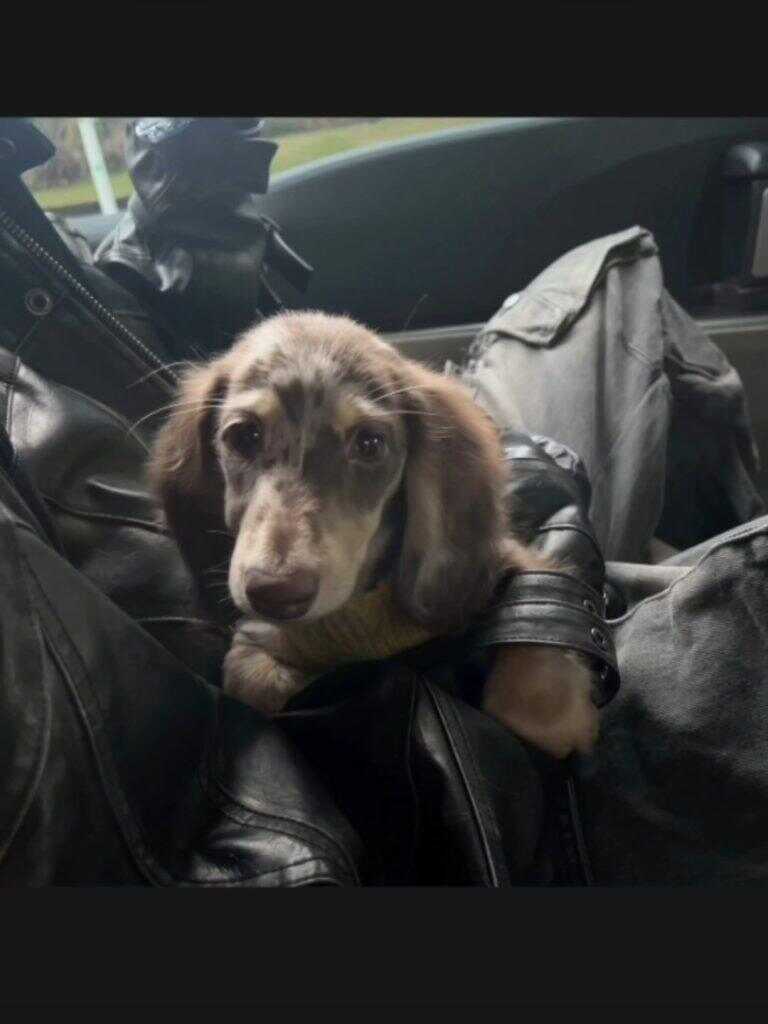 🐶-暑假时光论坛-校园-校园频道
