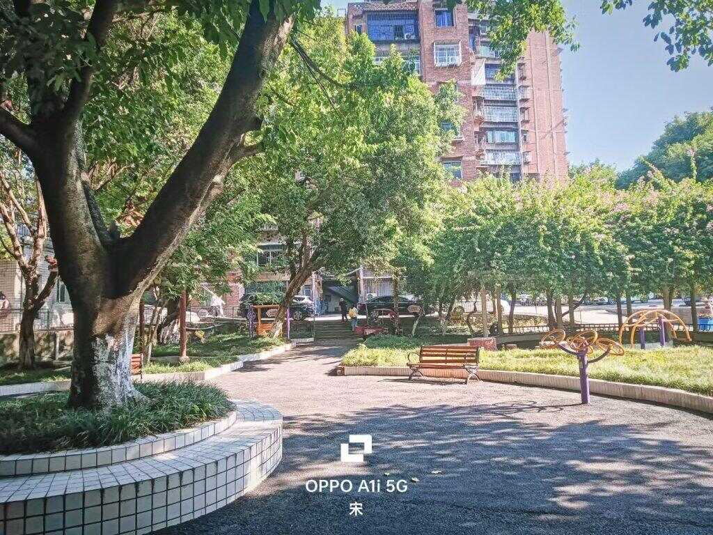 学校-暑假时光论坛-校园-校园频道