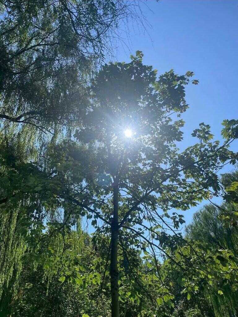 🌞-暑假时光论坛-校园-校园频道