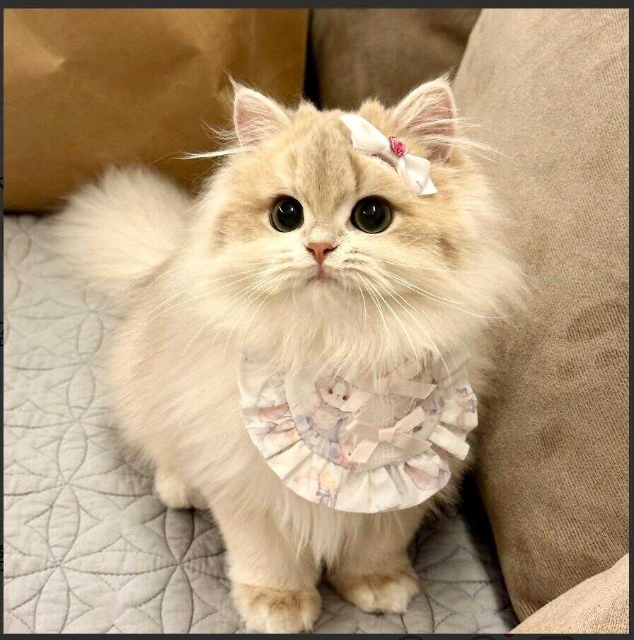 🐱-暑假时光论坛-校园-校园频道