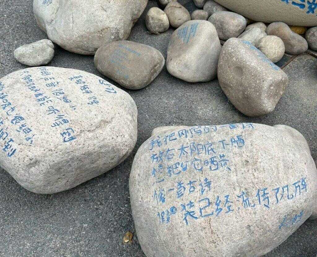 🪨-暑假时光论坛-校园-校园频道