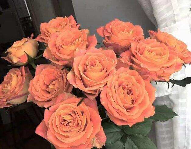 欢乐颂-校园频道