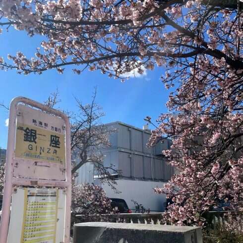 升等级-校园频道