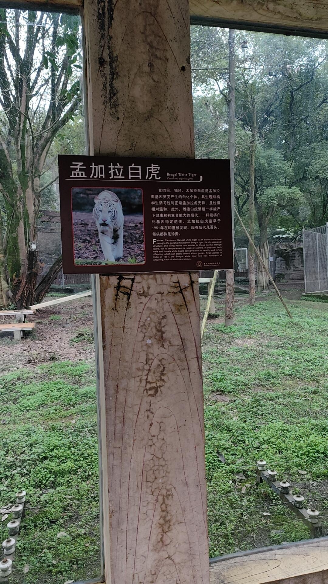 动物园-校园频道