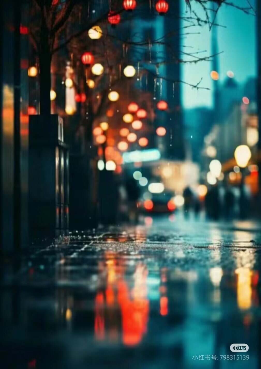 霓虹下的万家灯火-校园频道