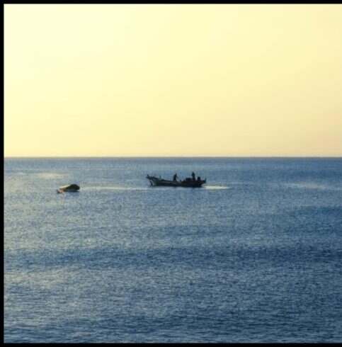 海是光流浪过得地方-校园频道