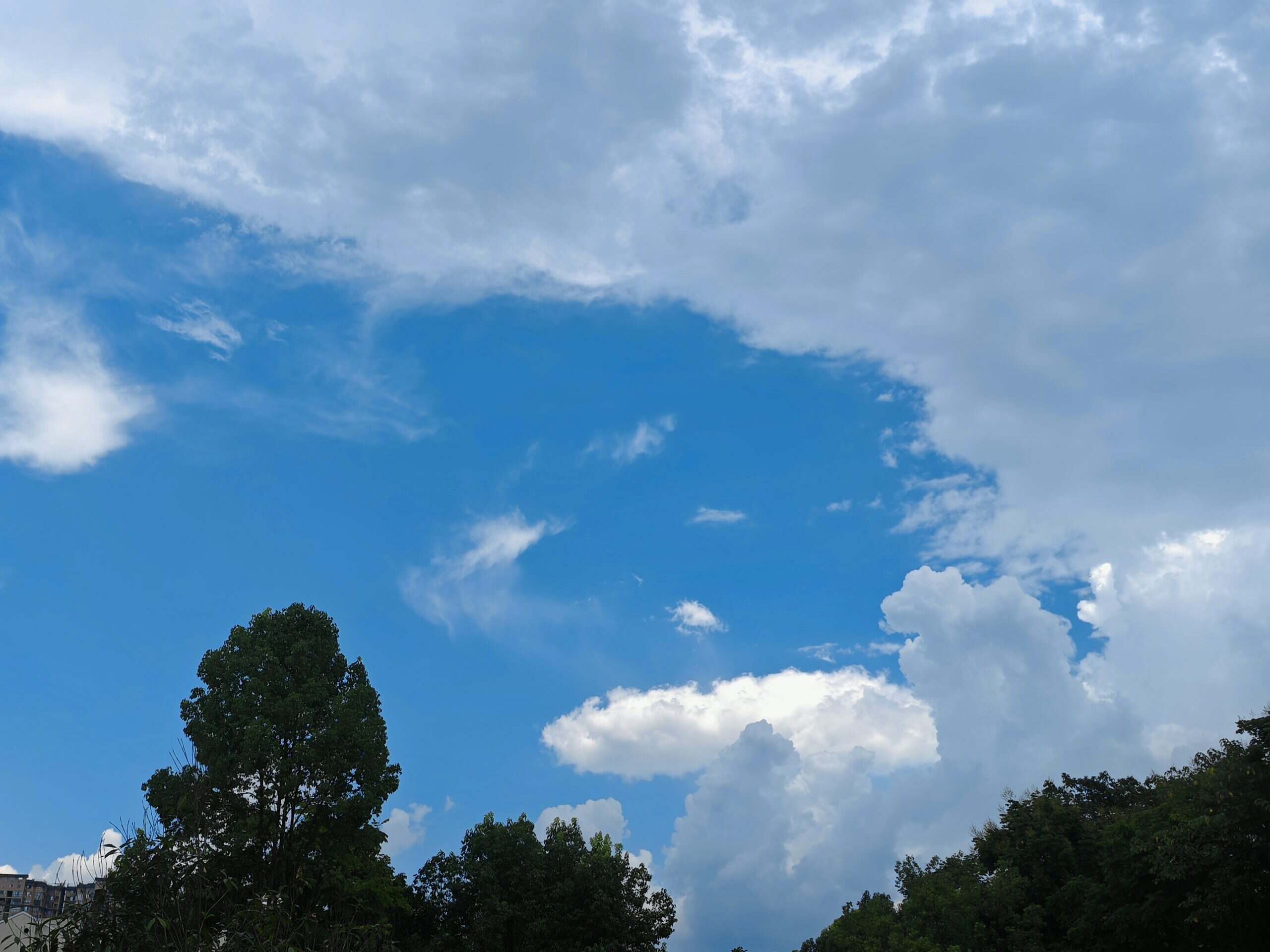 晴朗云~晚安-校园频道