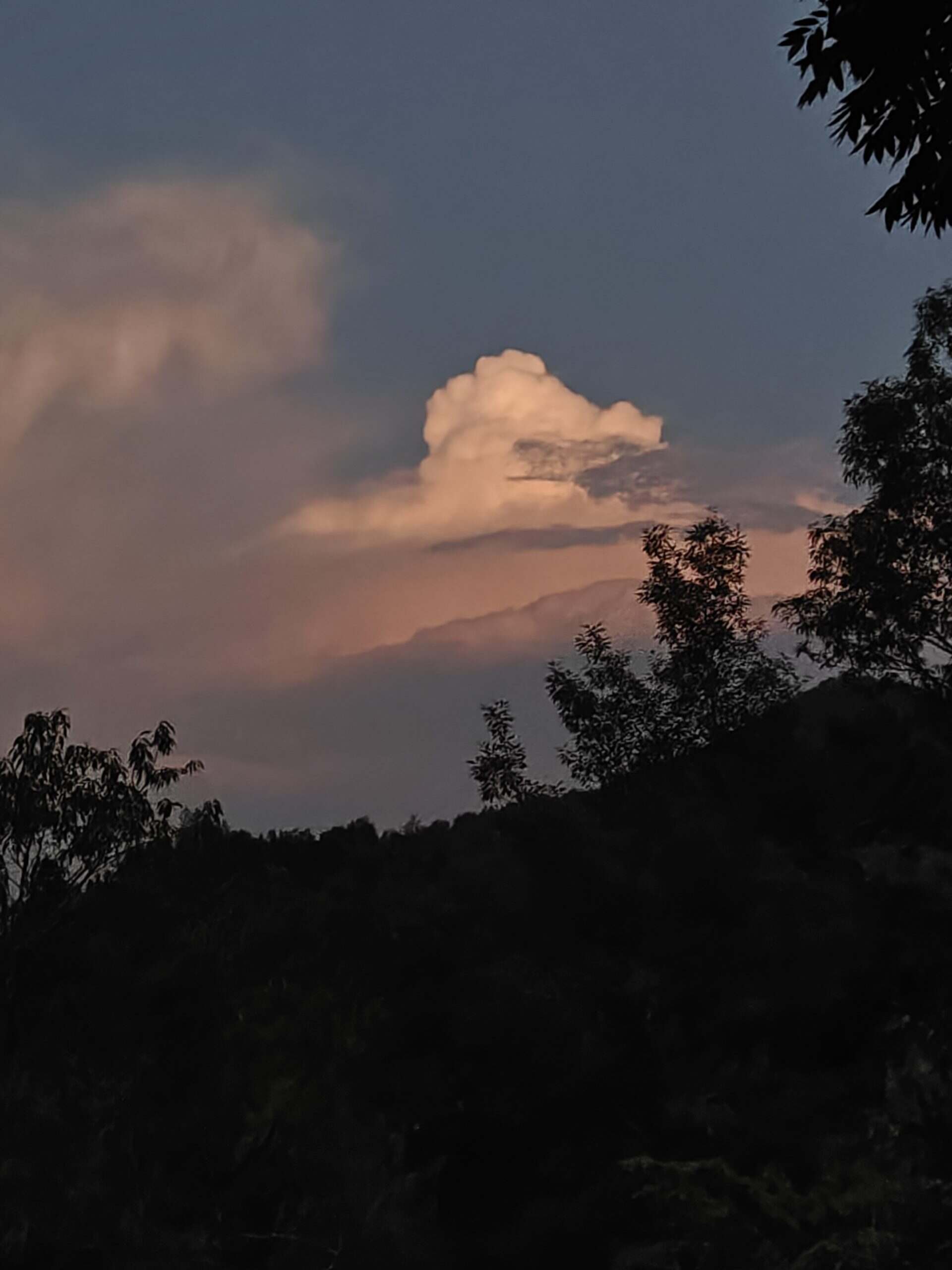 算了，你肯定觉得没意思-校园频道