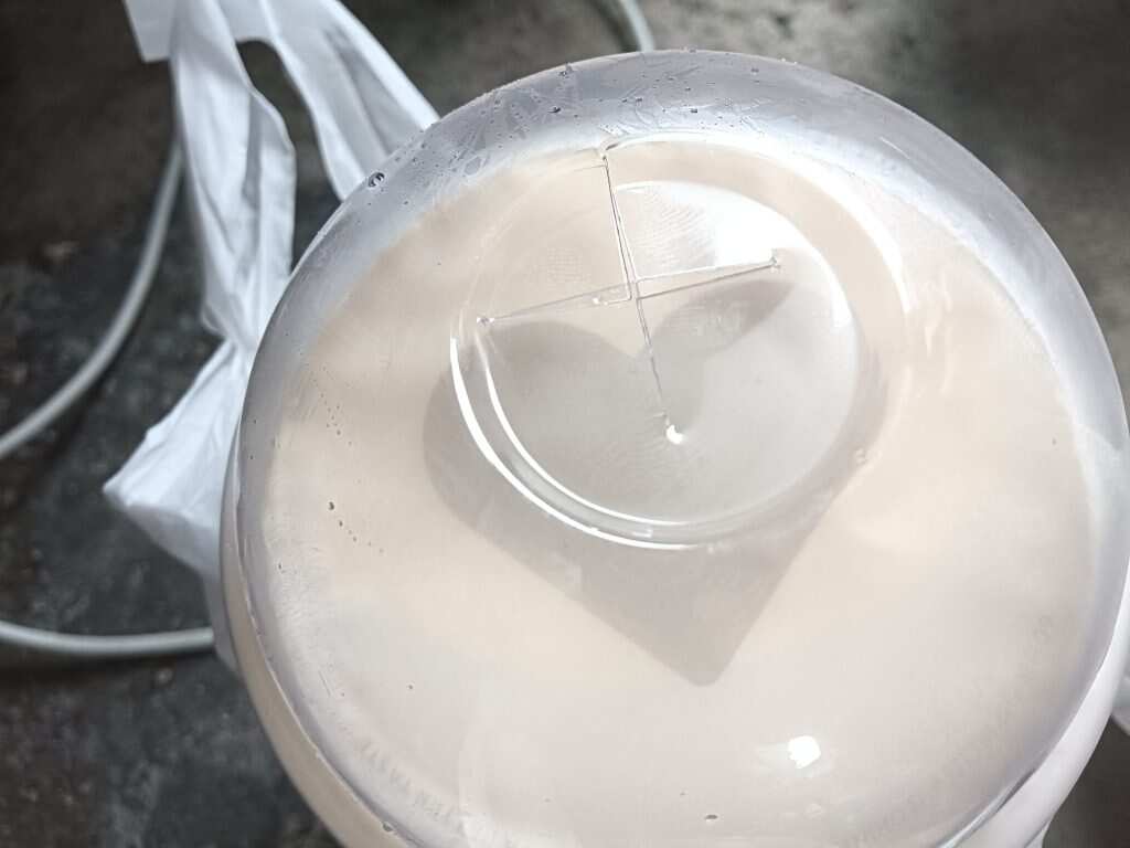 奶茶-暑假时光论坛-校园-校园频道