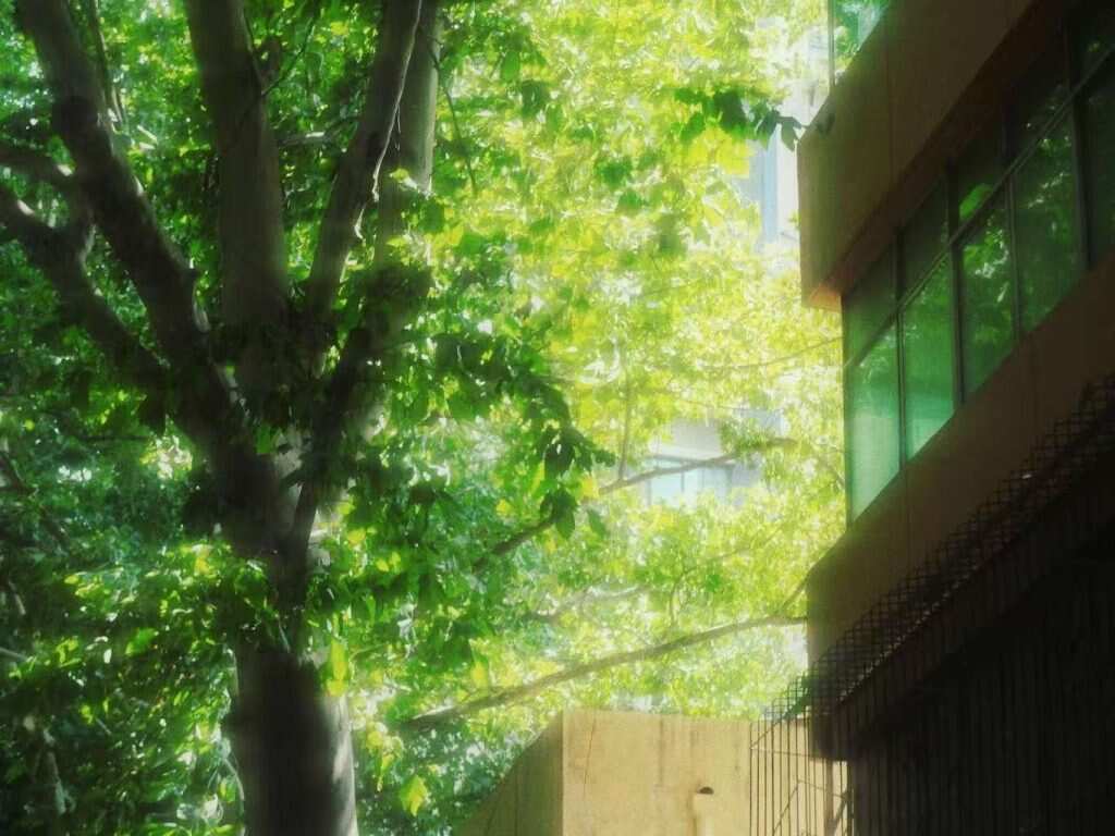 夏天的故事还在继续-暑假时光论坛-校园-校园频道