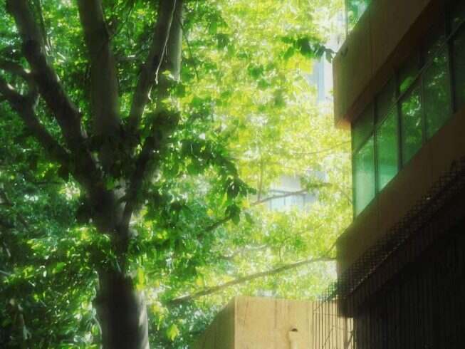 夏天的故事还在继续-校园频道