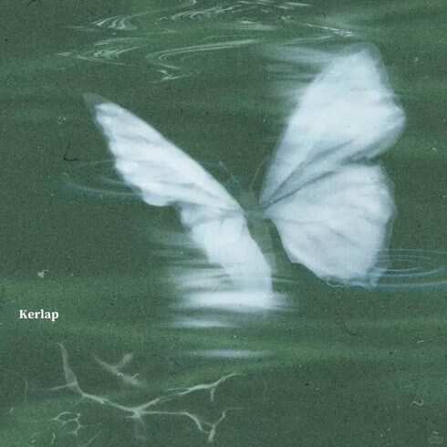 水面倒映着蝴蝶-校园频道