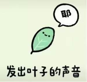 耶-小说圈论坛-娱乐-校园频道