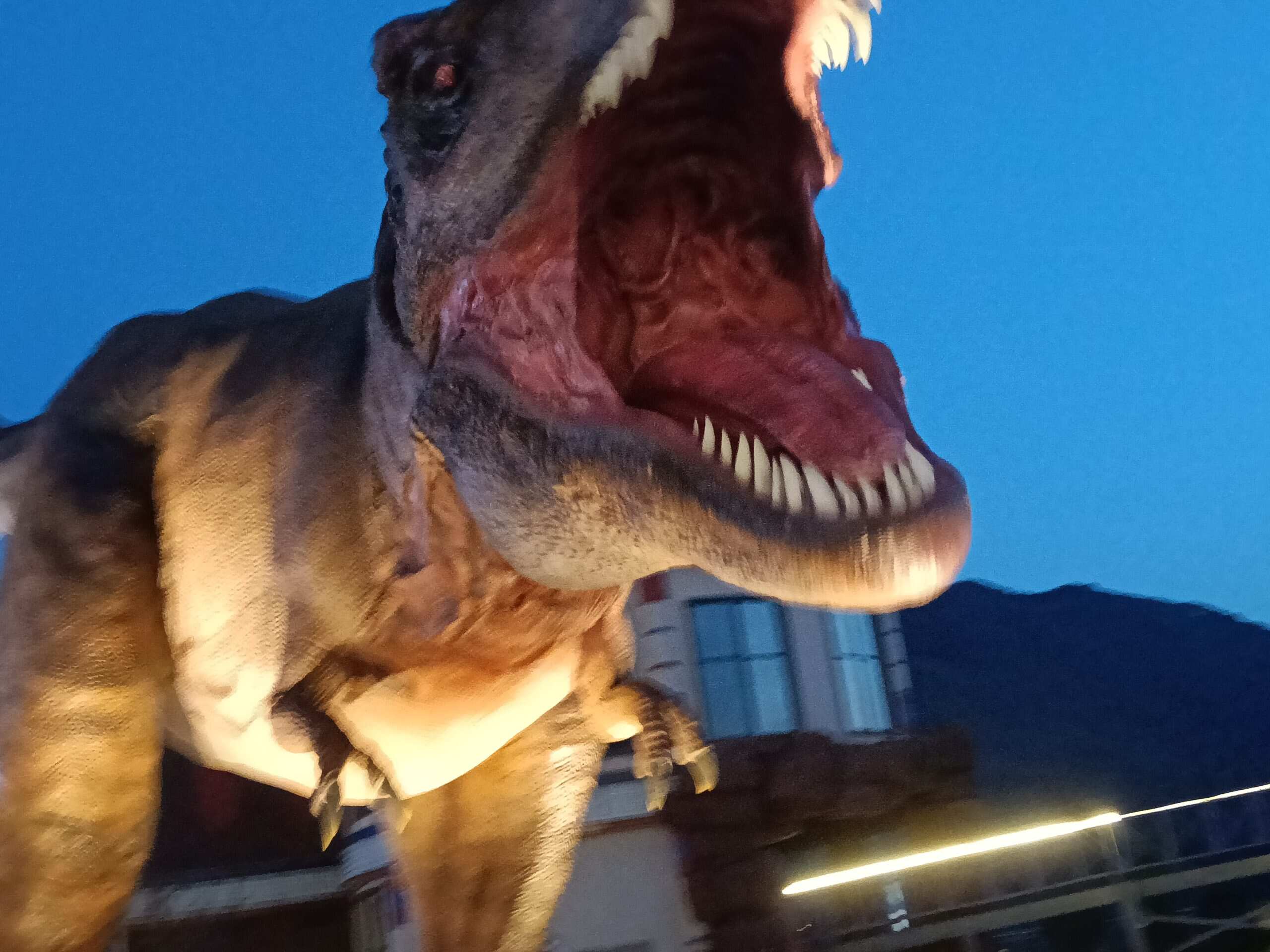 晚上来看恐龙着实有点吓人哈-校园频道