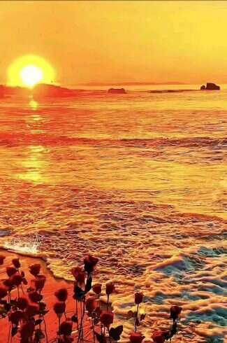 来啦来啦-校园频道