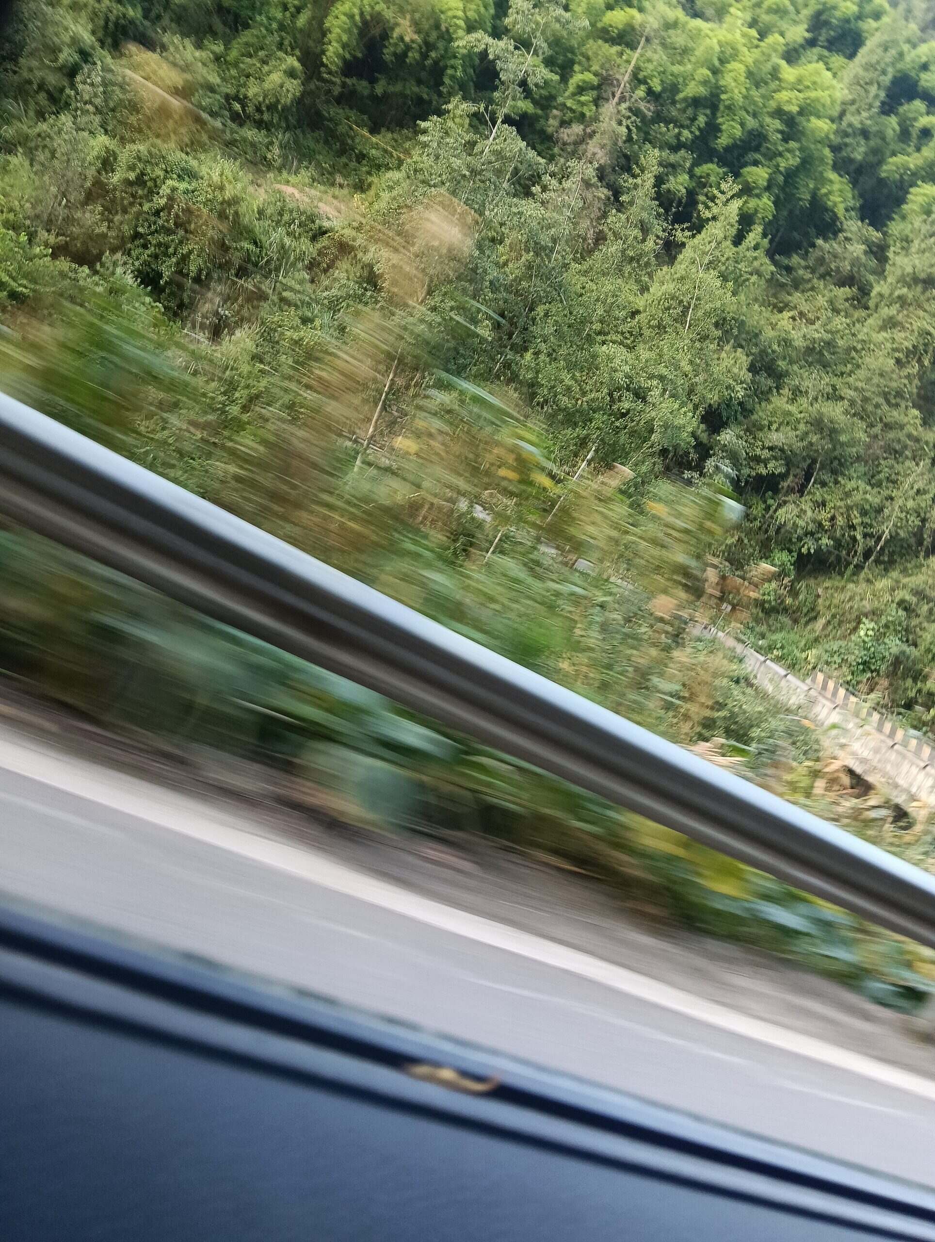 拜拜👋👋👋-校园频道