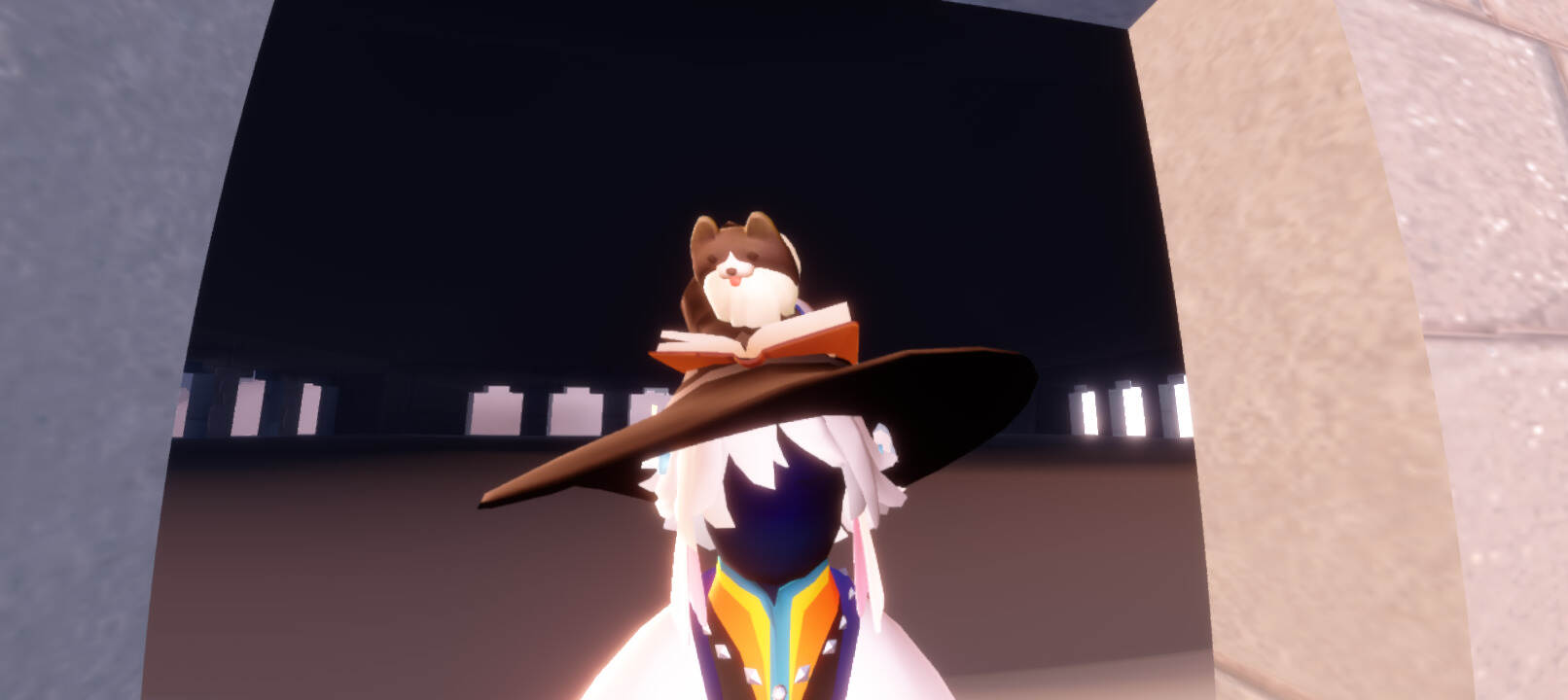 小正太趴在巫师的帽子上看书-校园频道