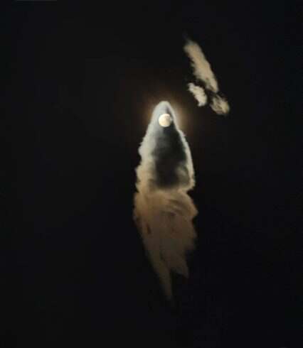 月光点睛-校园频道