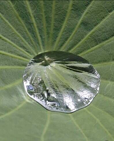 水珠的心跳-校园频道