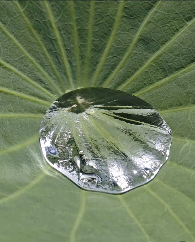 水珠的心跳-暑假时光论坛-校园-校园频道