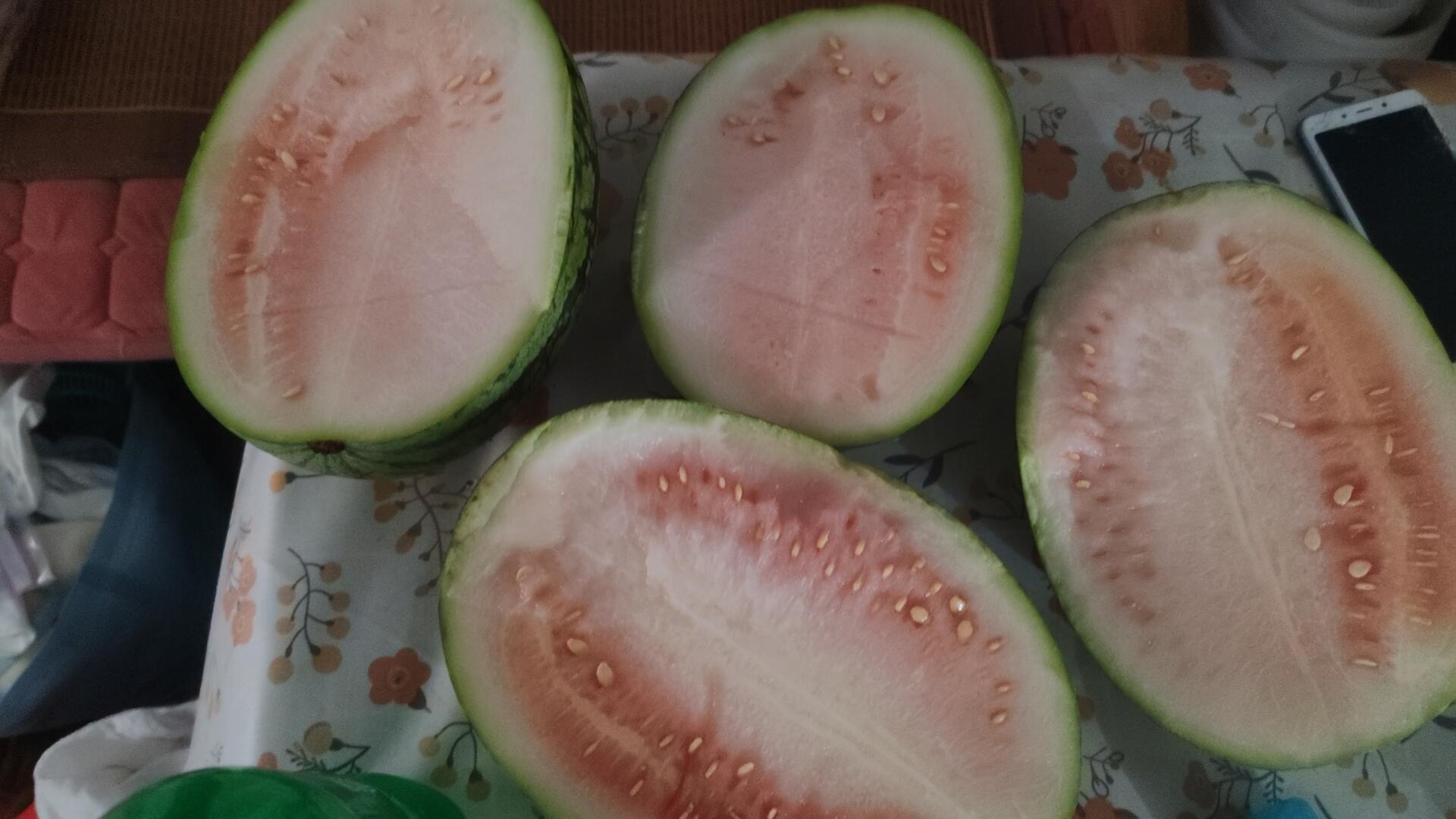 这西瓜…-校园频道