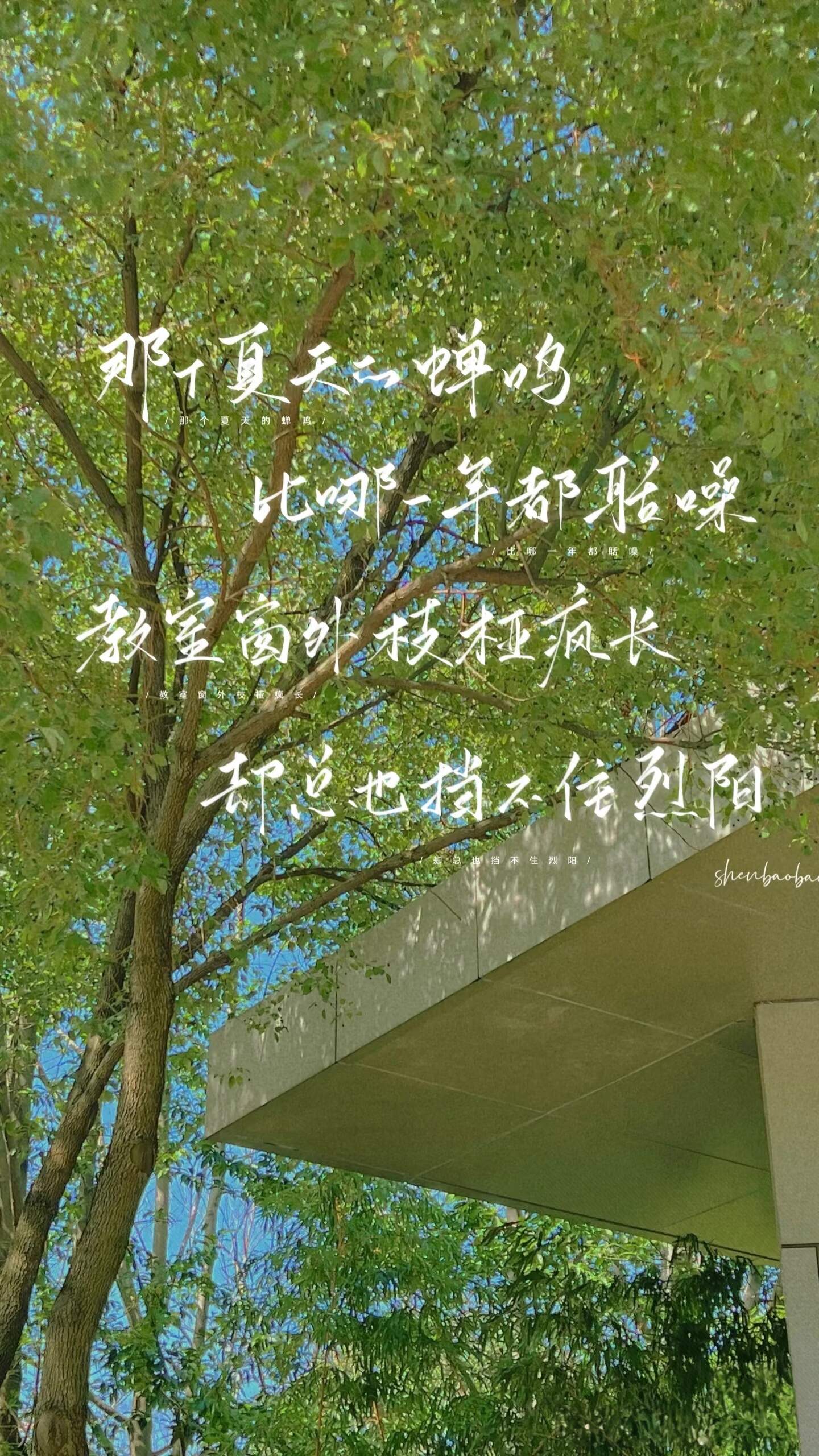 ૮₍◜ෆ◝.₎ა-校园频道