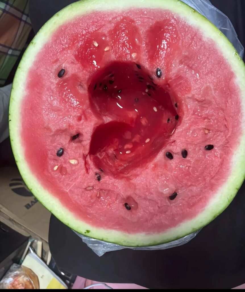 表白🍉吧-暑假时光论坛-校园-校园频道