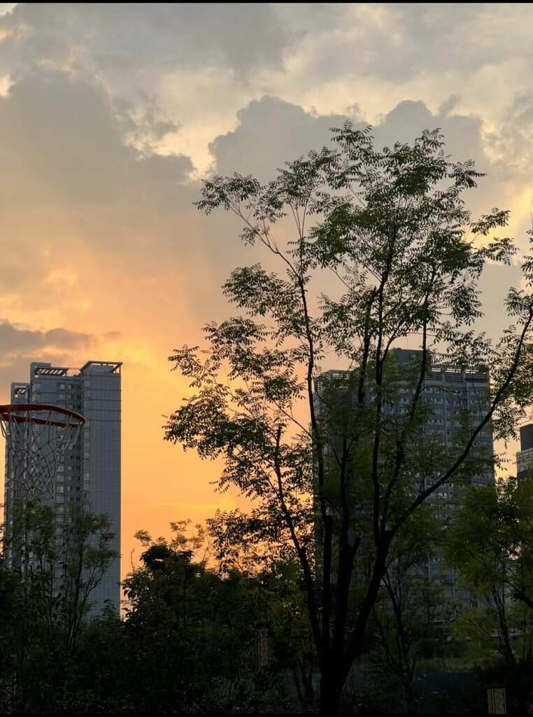 🌞回家了-暑假时光论坛-校园-校园频道