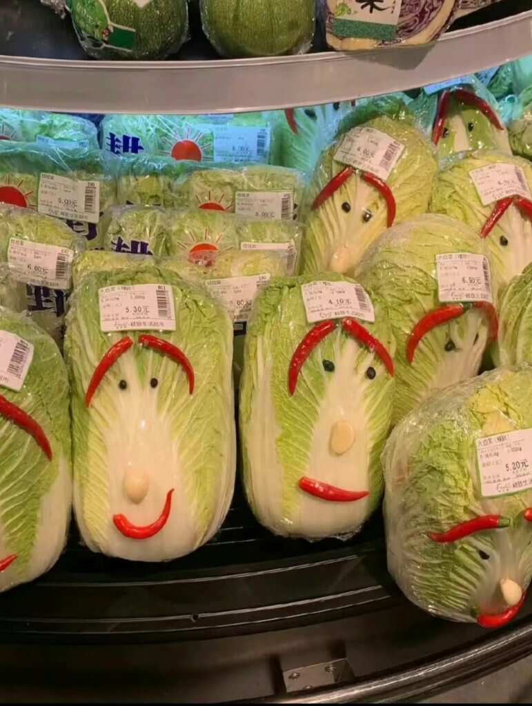 眉清目秀的🥬-暑假时光论坛-校园-校园频道