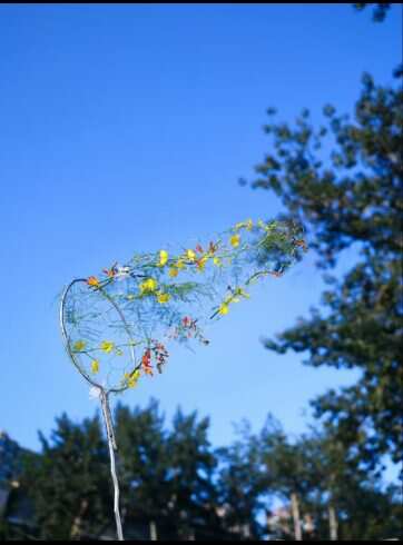 风有了形状-校园频道