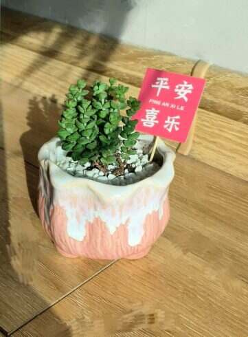 平安喜乐-校园频道