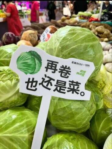 在卷还是菜-校园频道