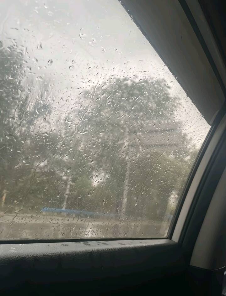 又是下雨天-校园频道