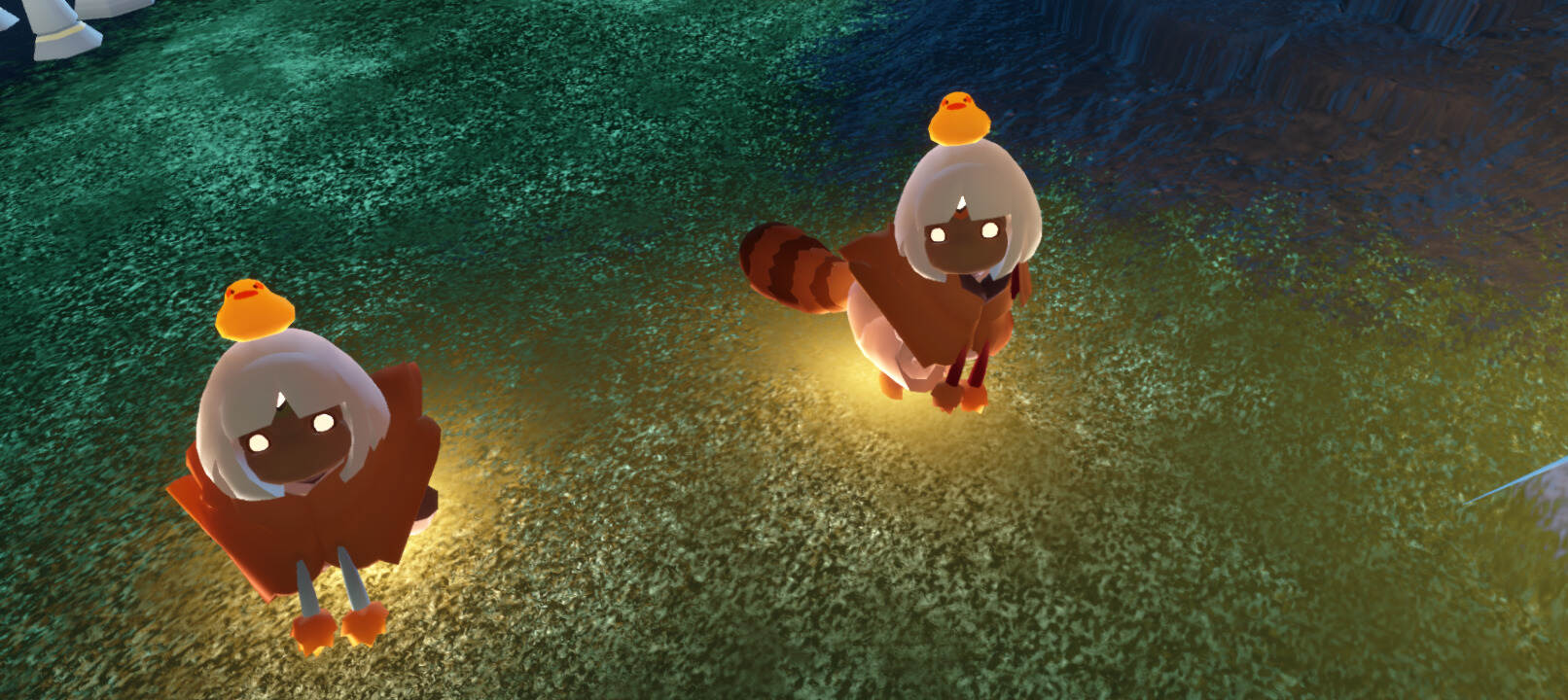 碰到的两小只-校园频道