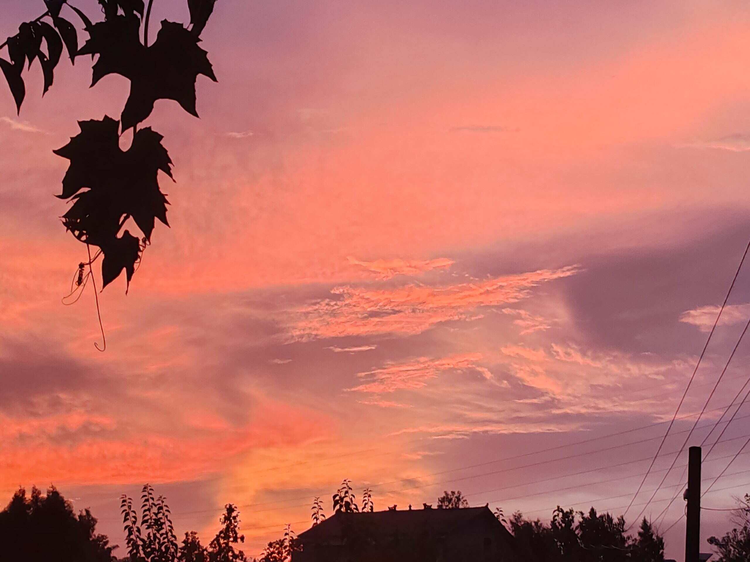 天空一望无际-校园频道