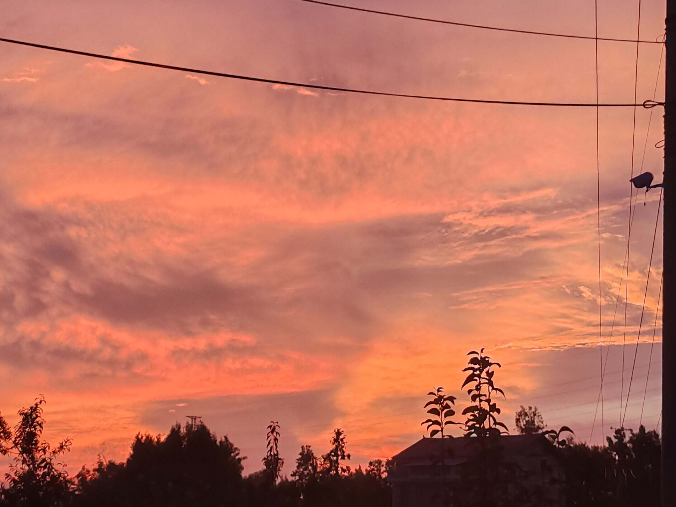 我在情书里找到每生相遇的地方，我会在那里等待一起看斜阳-校园频道