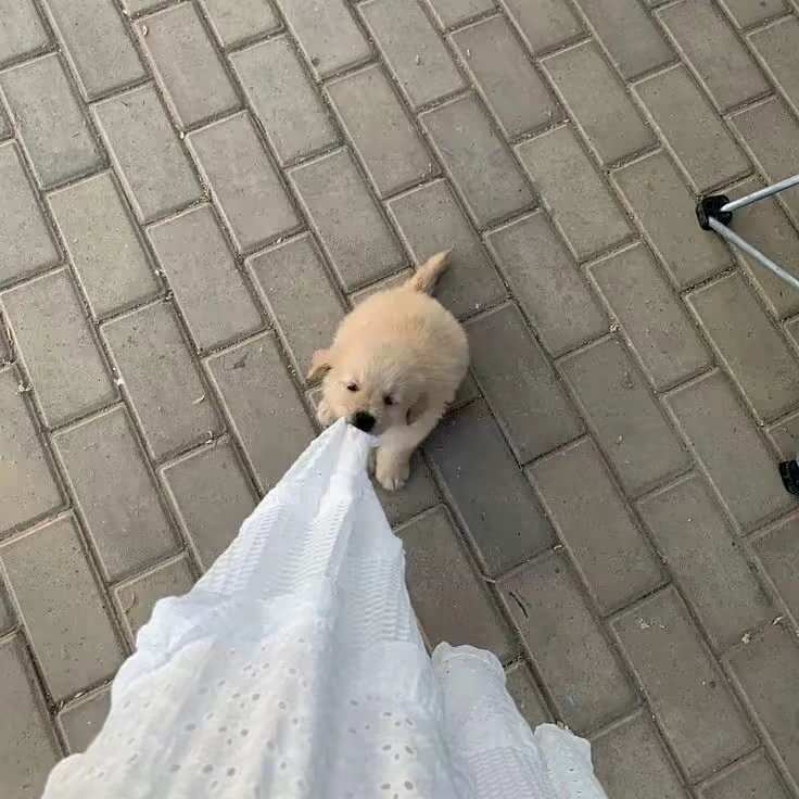 🐶-暑假时光论坛-校园-校园频道