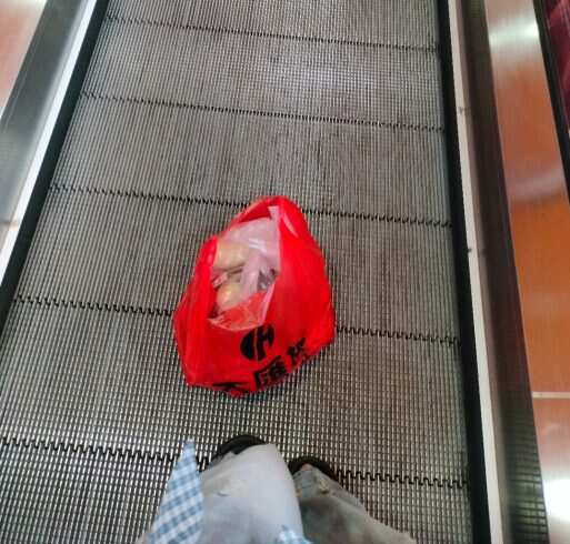 买菜的女人-校园频道